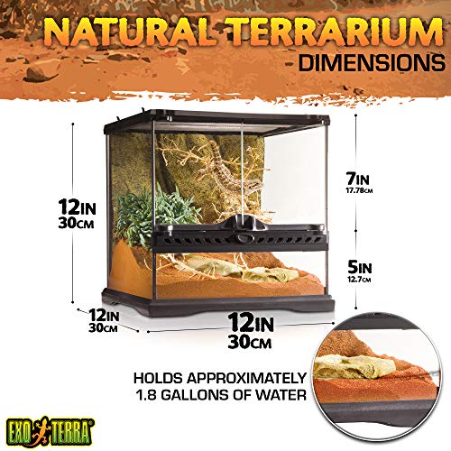 2. Exo Terra Glass Terrarium Kit