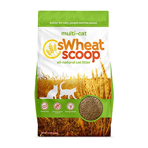 8. sWheat Scoop Multi-Cat All-Natural Clumping Cat Litter