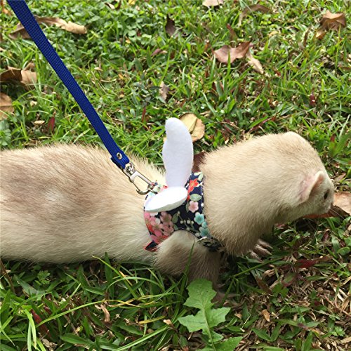 2. Capkomi Ferret Harness and Leash