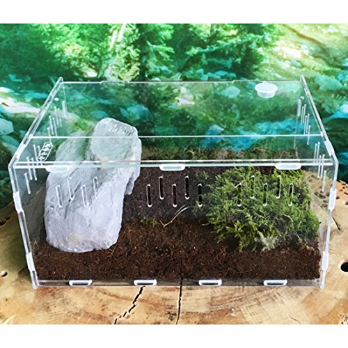 10. Petforu Acrylic Tank with Temperature Hygrometer