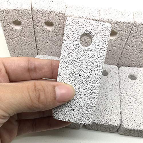 Best Hamster Pumice Stone: Shelltech Small Animal Lava Bites Hamster Chew Toys