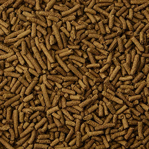 6. Kaytee Premium Ferret Food