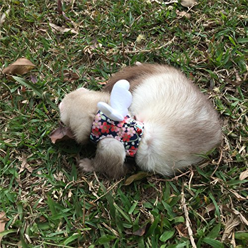 2. Capkomi Ferret Harness and Leash