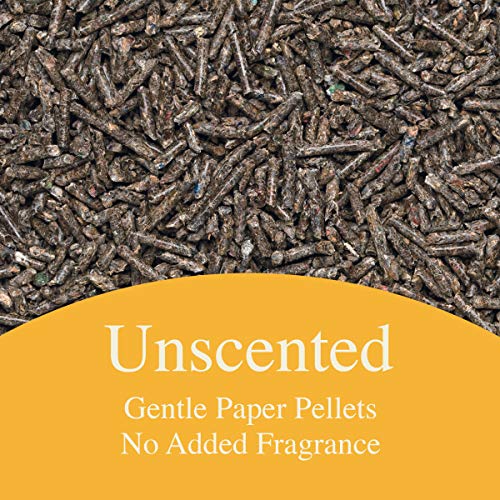 6. PURINA Yesterday's News Non Clumping Paper Cat Litter