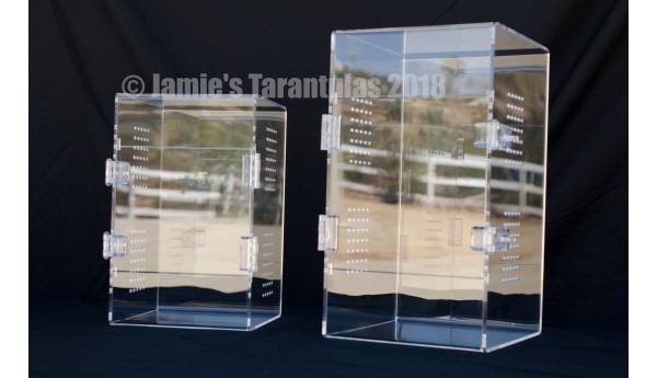 7. Arboreal Cage by Jamie's Tarantulas